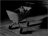 Forgotten in the Attic